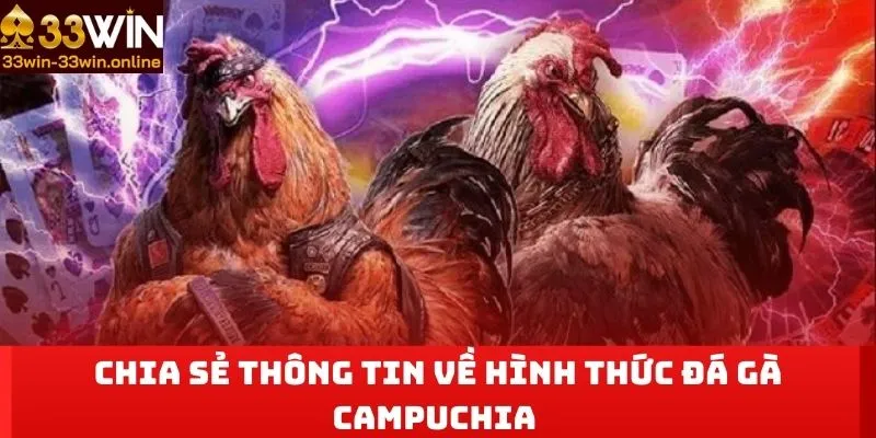 Chia sẻ thông tin về hình thức đá gà Campuchia 