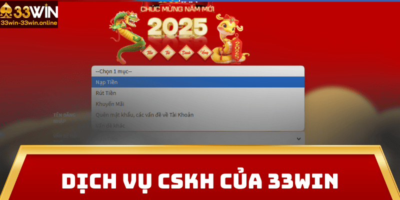 Dịch Vụ CSKH 