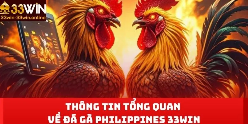 Thông tin tổng quan về đá gà Philippines 33WIN